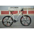 Ly-C-0604 Cool Mountain Bicycles for Cool Adult